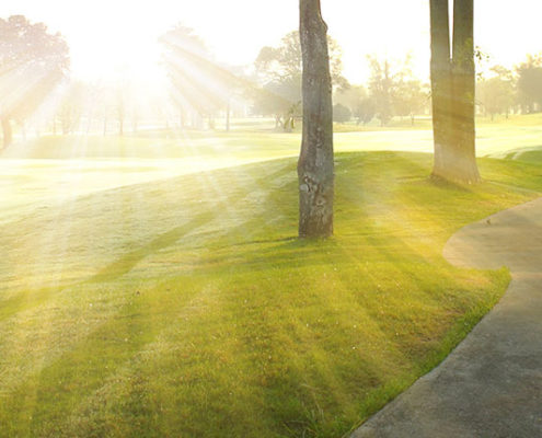 bliv en god golfspiller saadan her